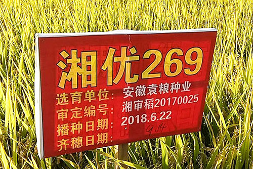 基地實(shí)拍