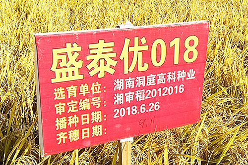 基地實(shí)拍