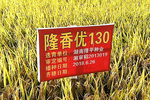 基地實(shí)拍