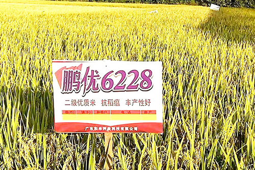 基地實(shí)拍