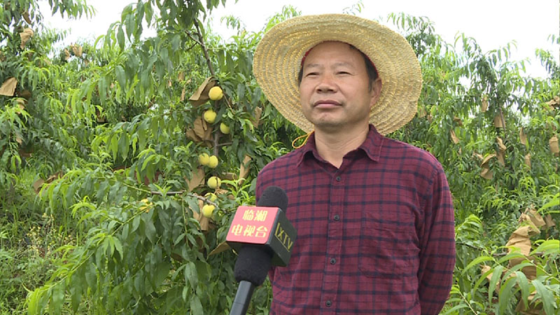 聶市鎮(zhèn)涓湖：從美麗鄉(xiāng)村走向美麗生活
