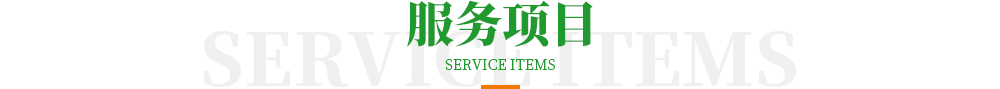 服務(wù)項(xiàng)目