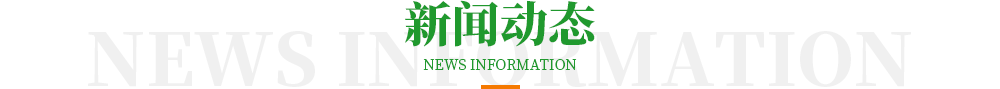 新聞動(dòng)態(tài)
